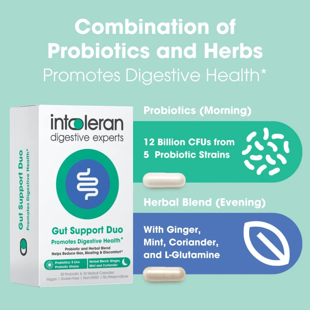 INTOLERAN GUT SUPPORT DUO PROBIOTICS HERBAL DIGESTIVE HEALTH SUPPLEMENT FOR BETTER DIGESTION