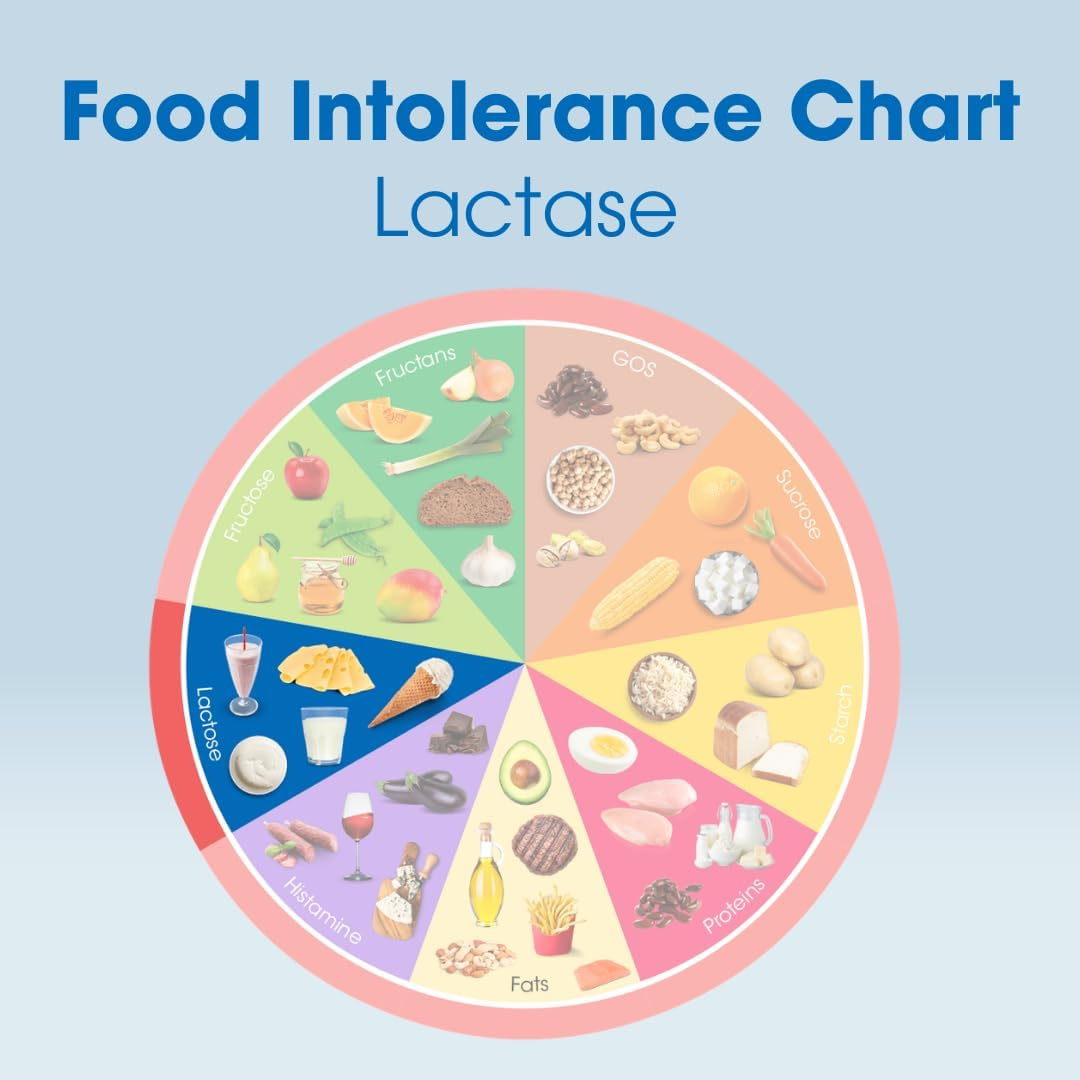 INTOLERAN LACTASE 20,000 IU DIGESTIVE ENZYME TABLETS - 6 SCORED PILLS FOR LACTOSE INTOLERANCE