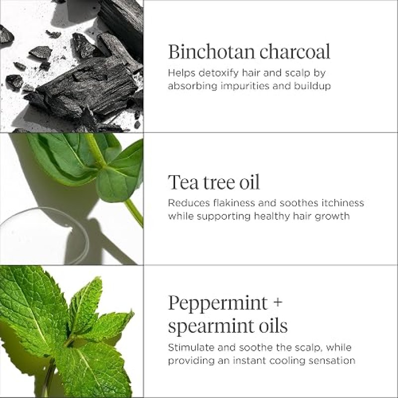 BRIOGEO SCALP REVIVAL CHARCOAL TEA TREE LEAVE-IN SCALP TREATMENT SERUM FOR HEALTHY HAIR