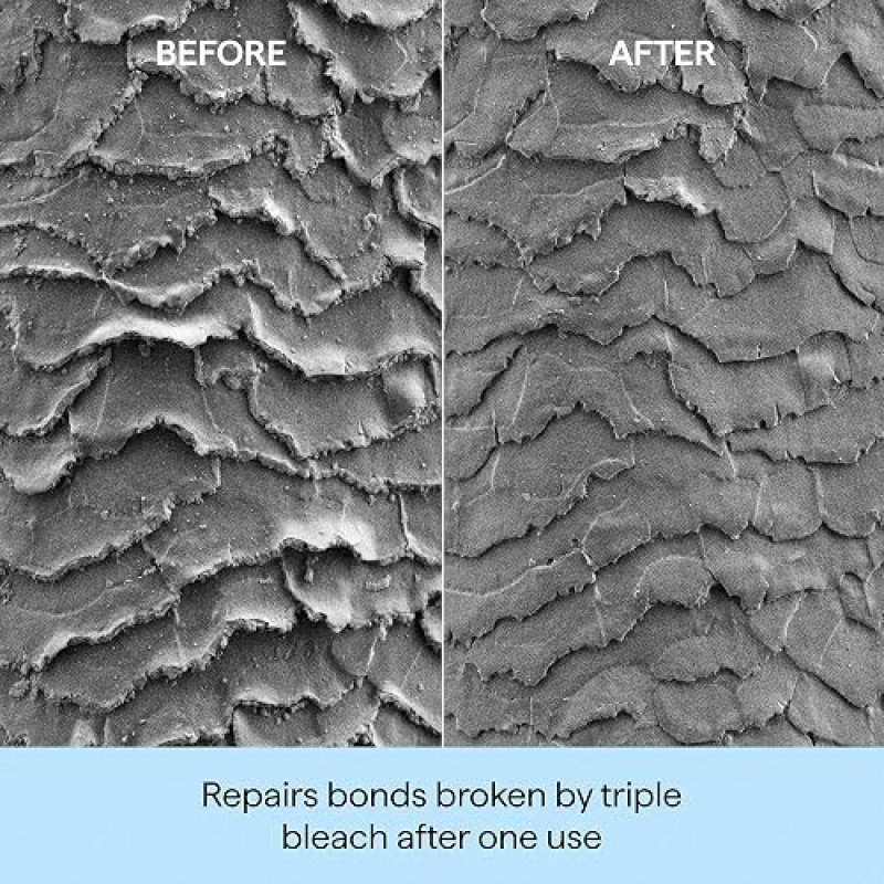 BRIOGEO DONT DESPAIR, REPAIR! DEEP CONDITIONING HAIR MASK 8 OZ HYDRATING TREATMENT