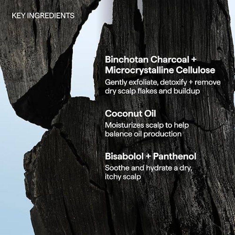 BRIOGEO SCALP REVIVAL CHARCOAL COCONUT OIL SHAMPOO SULFATE-FREE, DETOX HYDRATE, VEGAN